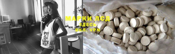 гидра Алексеевка