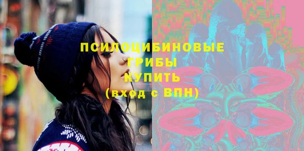 гидра Алексеевка